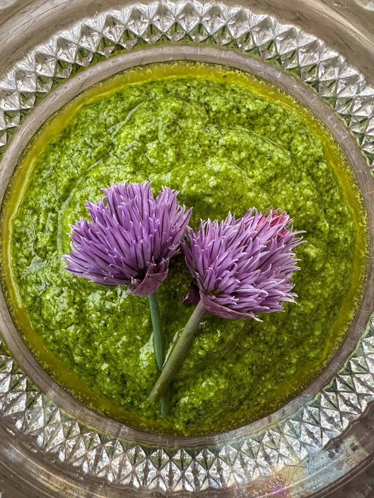 Spring chive pesto in a decorative glass bowl with two purple chive flowers on top.