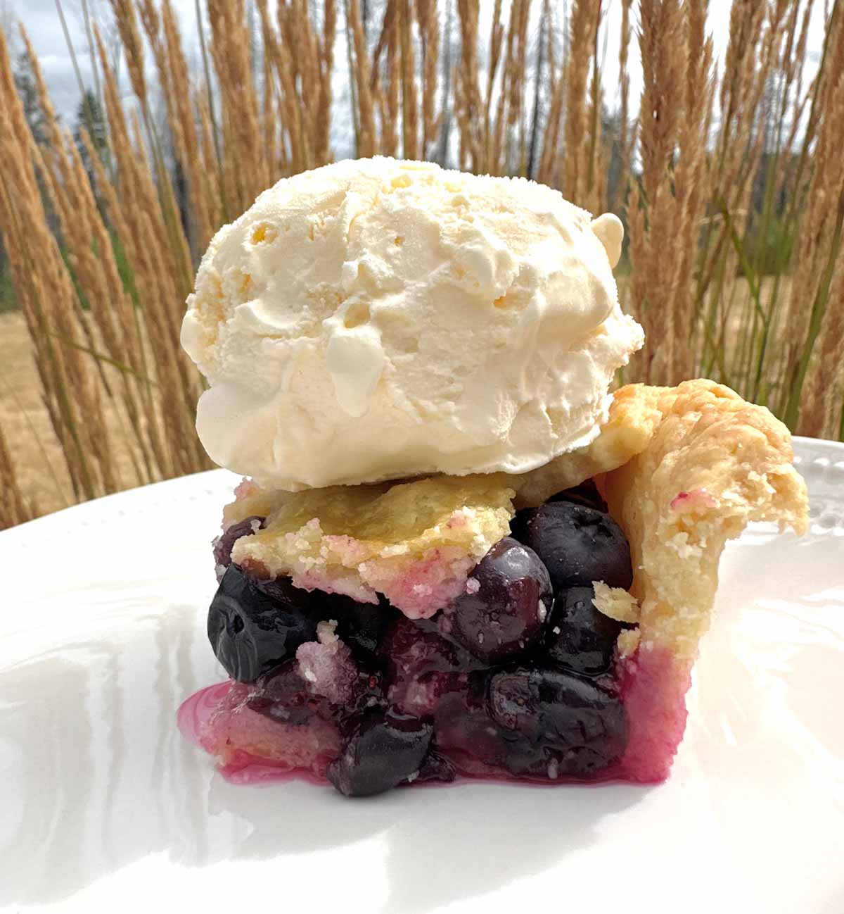 Slice of blueberry slab pie with a scoop of ice cream directly on top.