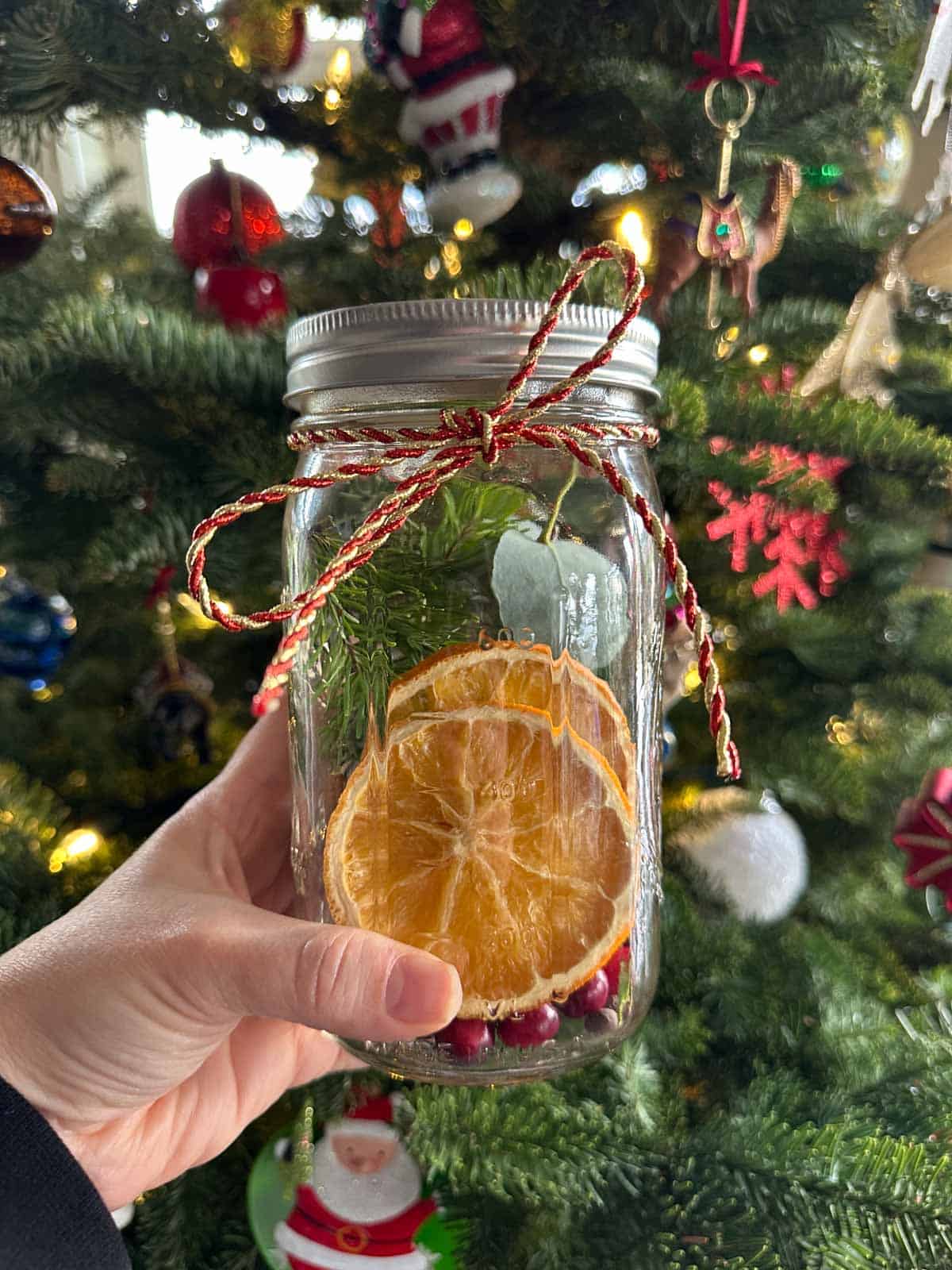 Winter Simmer Pot Jars DIY holiday and winter gift with oranges, cinnamon, and evergreens.